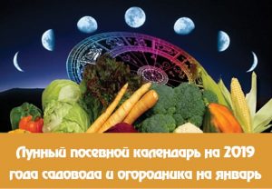 Лунный календарь огородника садовода на январь 2021 года