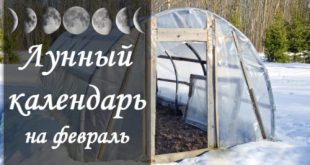 Лунный календарь огородника-садовода на февраль 2021 года