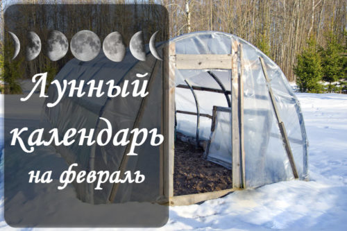 Лунный календарь огородника-садовода на февраль 2021 года