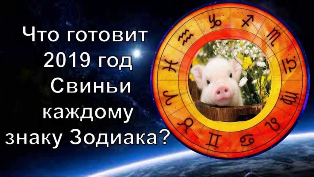 Гороскоп на 2021 — год свиньи: что сулит 2021 год каждому из нас?