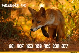 Славянский календарь животных по годам