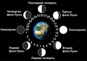 Фазы луны в апреле 2021 года по дням
