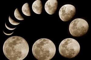 Лунный календарь операций на ноябрь 2021 года благоприятные дни
